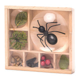 Bug Box